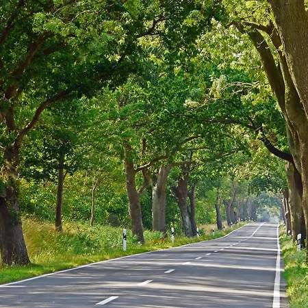 Am Schlosspark Superior (adults Only) 3* Putbus