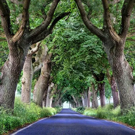 Hotel Am Schlosspark Superior (adults Only)