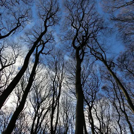 Am Schlosspark Superior (adults Only) 3*