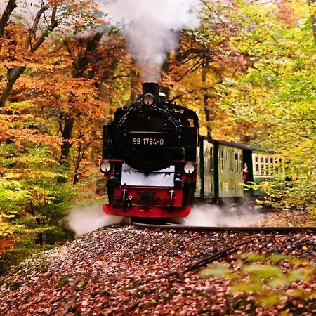 Am Schlosspark Superior (adults Only) Hotel 3*