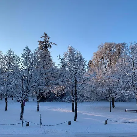 Am Schlosspark Superior - Adults Only Putbus